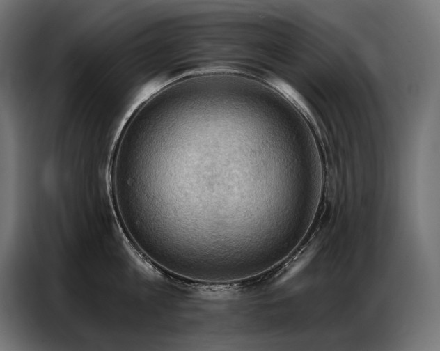 X0000086880813200704161219