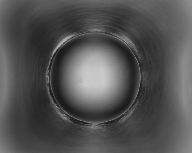 X0000086880814200704161219