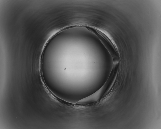 X0000086880815200704161219