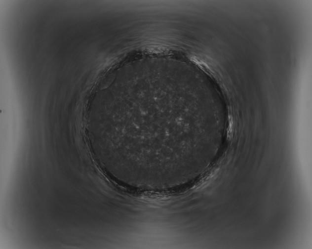 X0000086880817200704161219