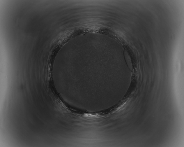 X0000086880818200704161219