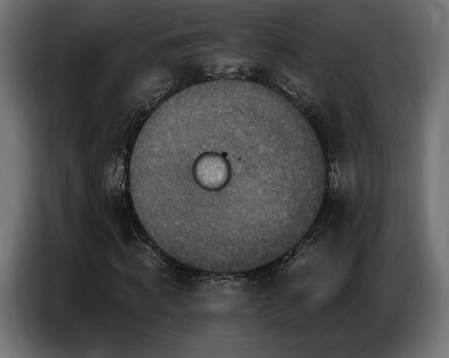 X0000086880820200704161219