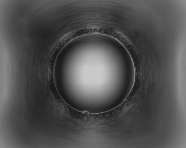 X0000086880821200704161219