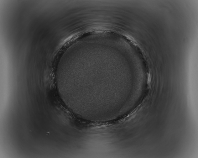 X0000086880822200704161219