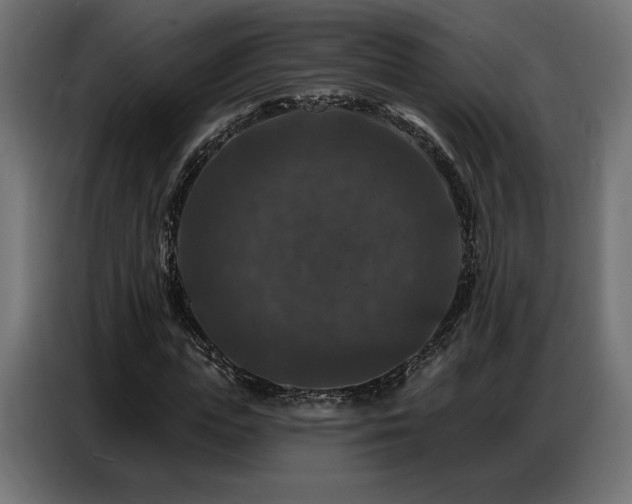 X0000086880823200704161219