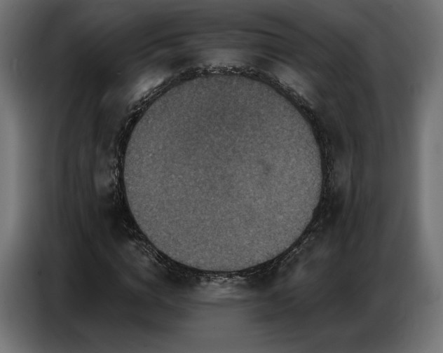 X0000086880824200704161219