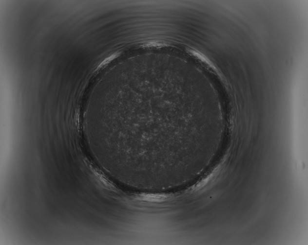 X0000086880825200704161219