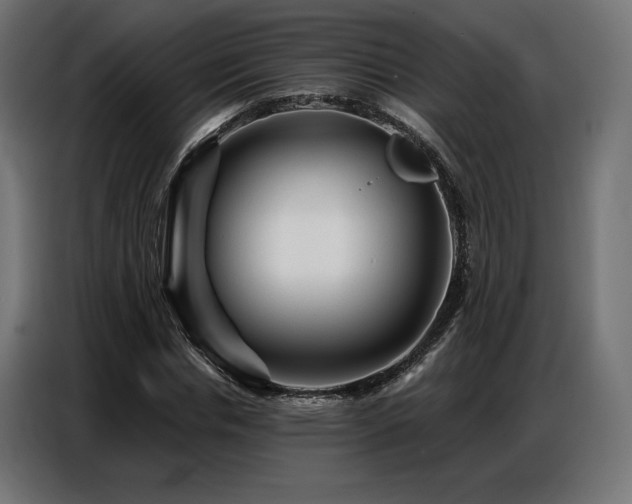 X0000086880826200704161219