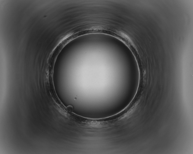 X0000086880827200704161219