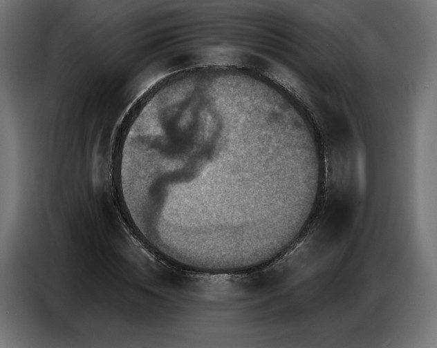 X0000086880828200704161219