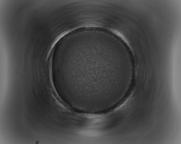 X0000086880829200704161219