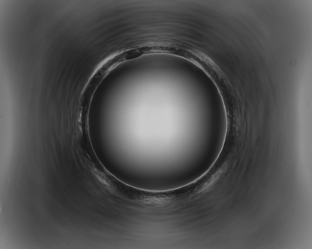 X0000086880830200704161219