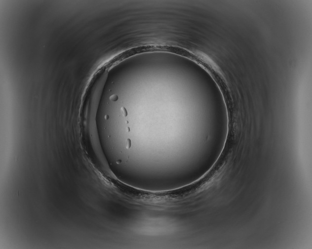 X0000086880831200704161219