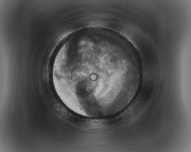 X0000086880832200704161219