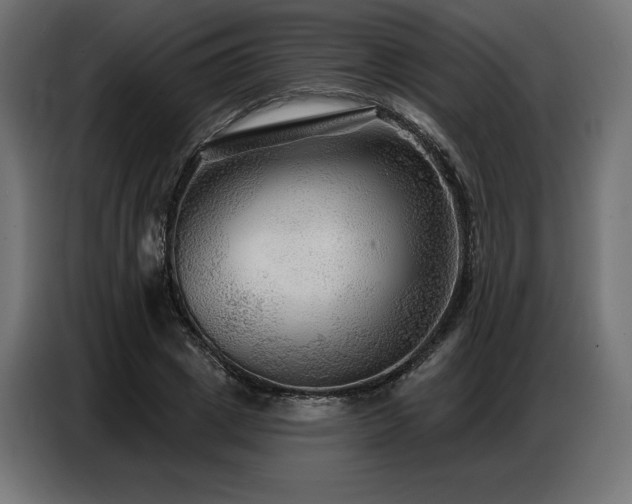 X0000086880833200704161219