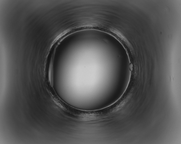 X0000086880834200704161219