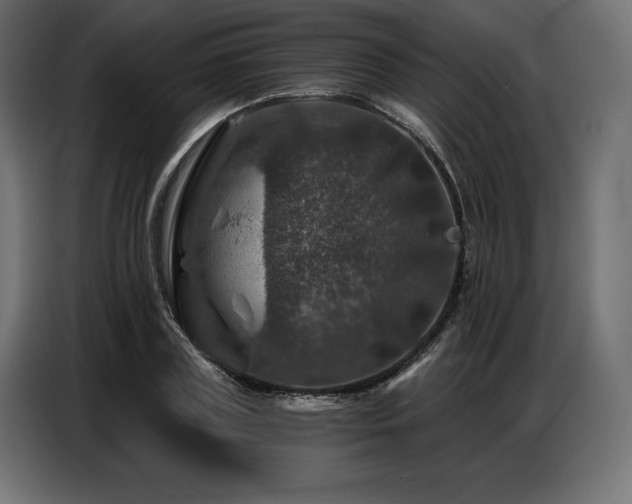 X0000086880835200704161219