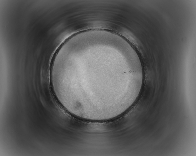 X0000086880836200704161219