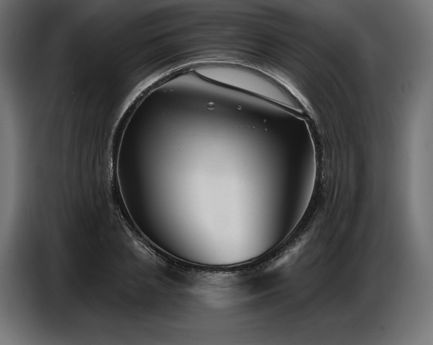 X0000086880837200704161219