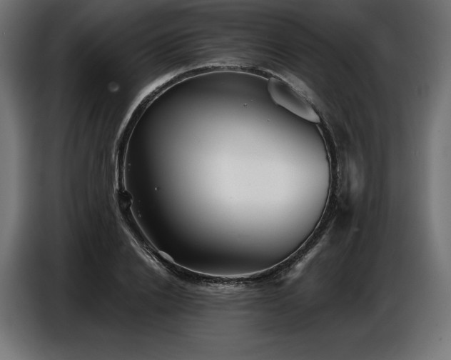 X0000086880838200704161219