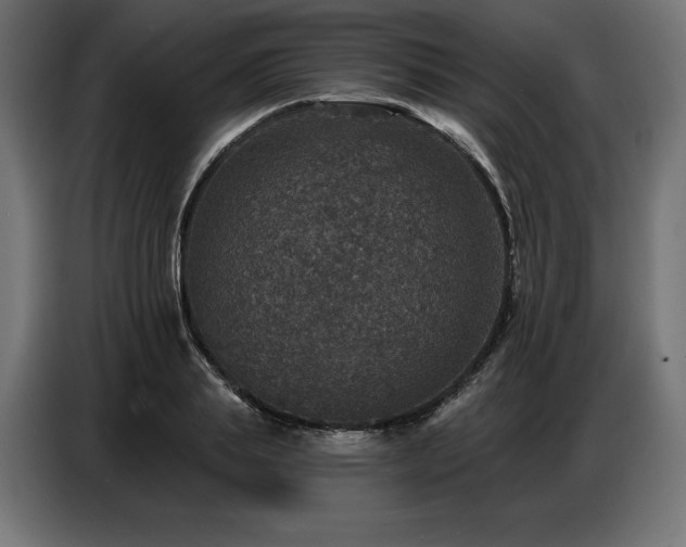 X0000086880839200704161219