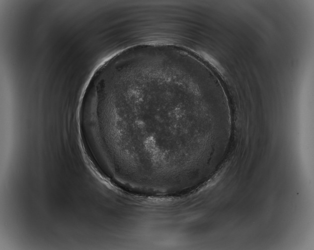 X0000086880840200704161219