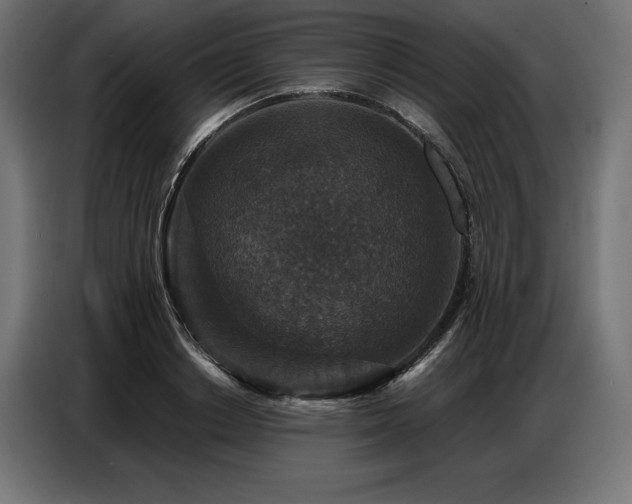 X0000086880842200704161219