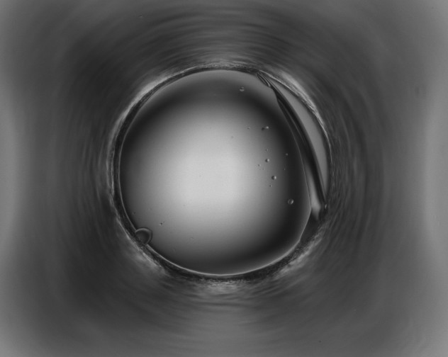 X0000086880843200704161219