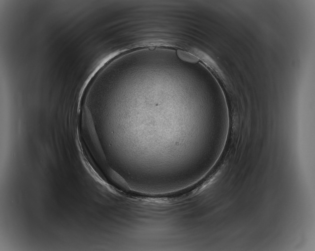 X0000086880844200704161219