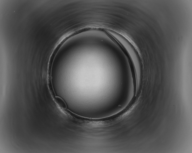 X0000086880845200704161219