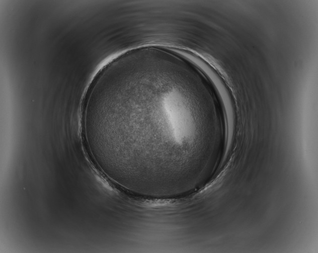 X0000086880846200704161219