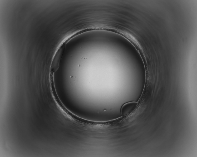 X0000086880847200704161219