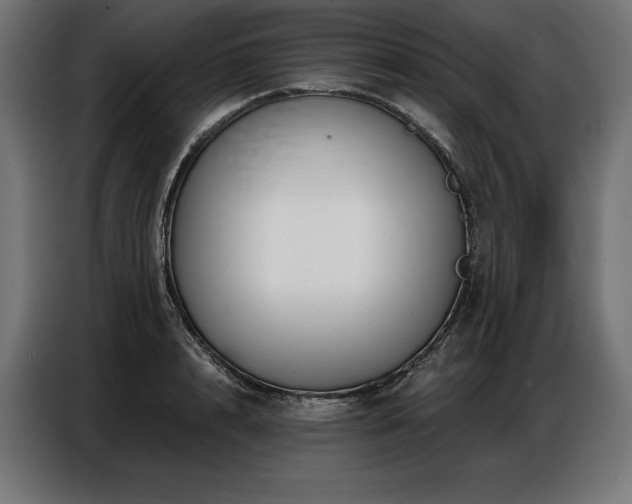 X0000086880848200704161219