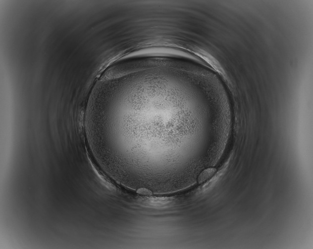 X0000086880849200704161219