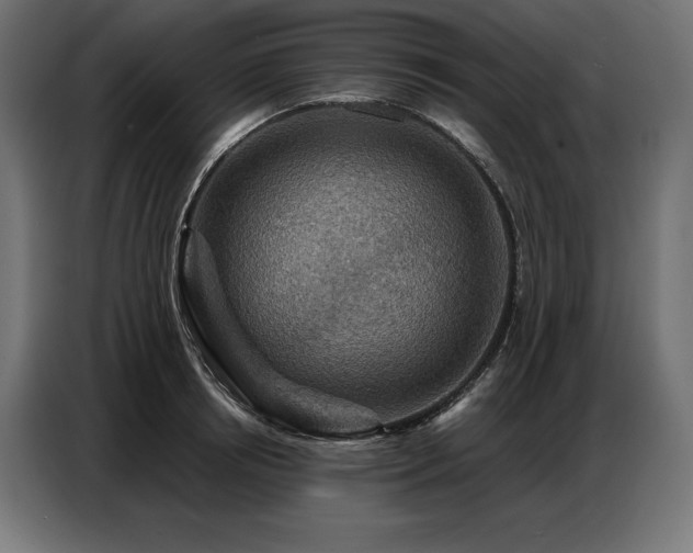 X0000086880850200704161219