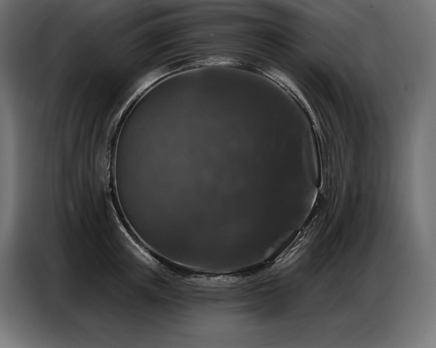 X0000086880851200704161219