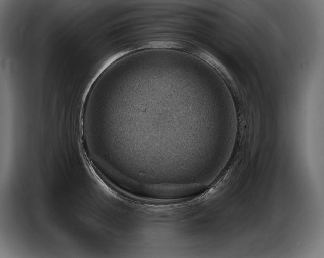 X0000086880852200704161219