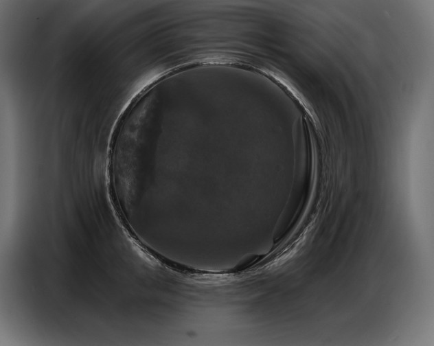 X0000086880853200704161219