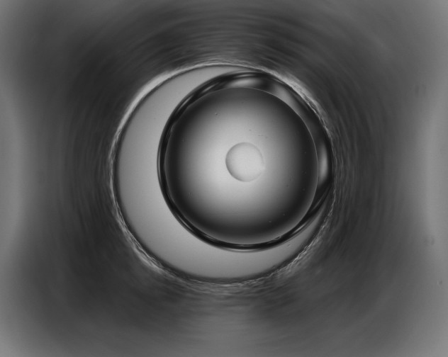 X0000086880854200704161219