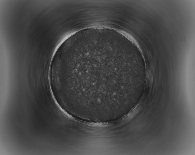 X0000086880855200704161219