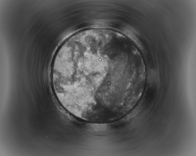 X0000086880856200704161219