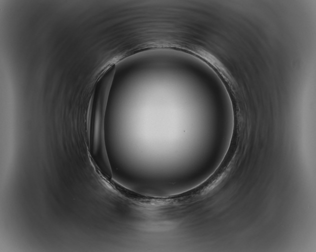 X0000086880857200704161219