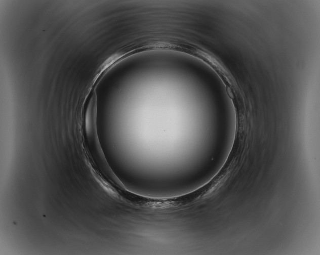 X0000086880858200704161219