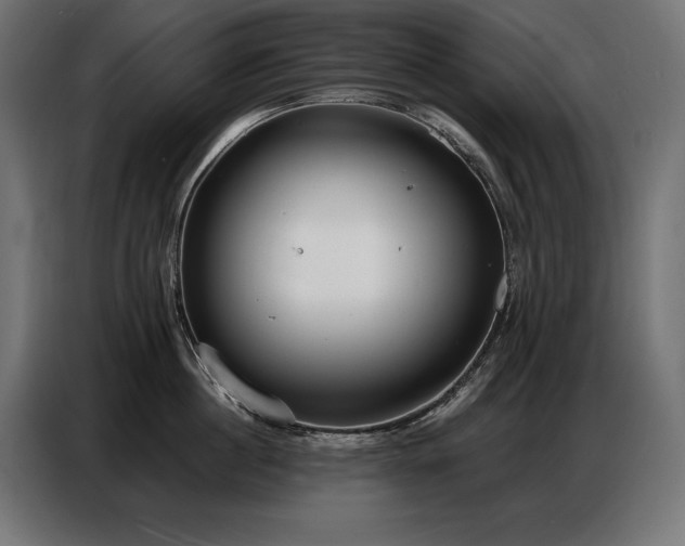 X0000086880860200704161219