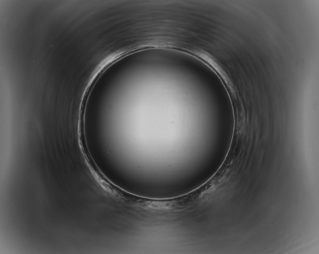 X0000086880861200704161219