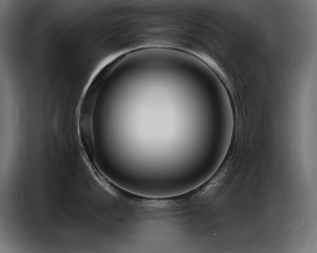 X0000086880862200704161219