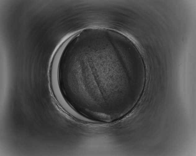 X0000086880864200704161219