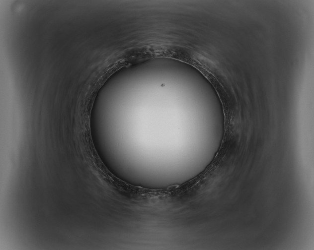 X0000086880865200704161219