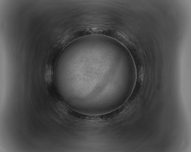 X0000086880866200704161219