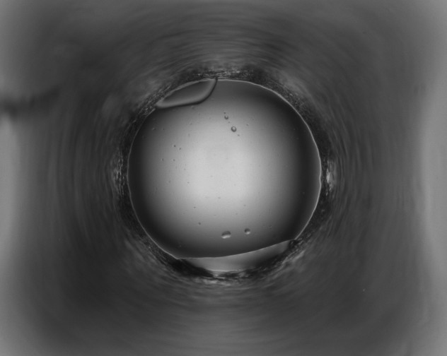 X0000086880867200704161219